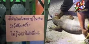 ข่าวหวย