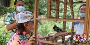 ข่าวหวย