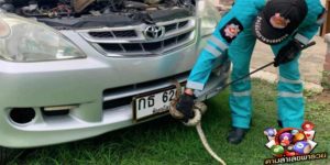 ข่าวหวย