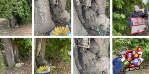 ข่าวหวย