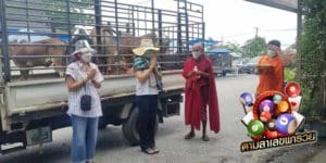 ข่าวหวย