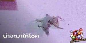 ข่าวหวย