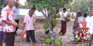 ข่าวหวย