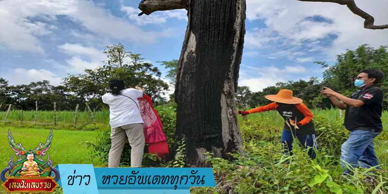 ข่าวหวย-อัพเดททุกวัน