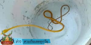 ข่าวหวยอัพเดททุกวัน