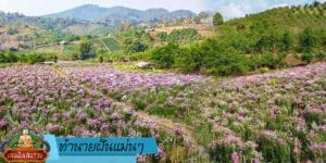 ทำนายฝันแม่นๆ