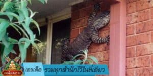 เลขเด็ด รวมทุกสำนักไว้ในที่เดียว