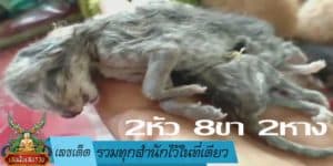 เลขเด็ด-รวมทุกสำนักไว้ในที่เดียว