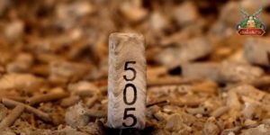 ข่าวหวย อัพเดททุกวัน