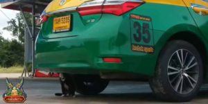 ข่าวหวย อัพเดททุกวัน