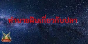 ทำนายฝัน แม่น ๆ