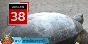 ข่าวหวย อัพเดททุกวัน