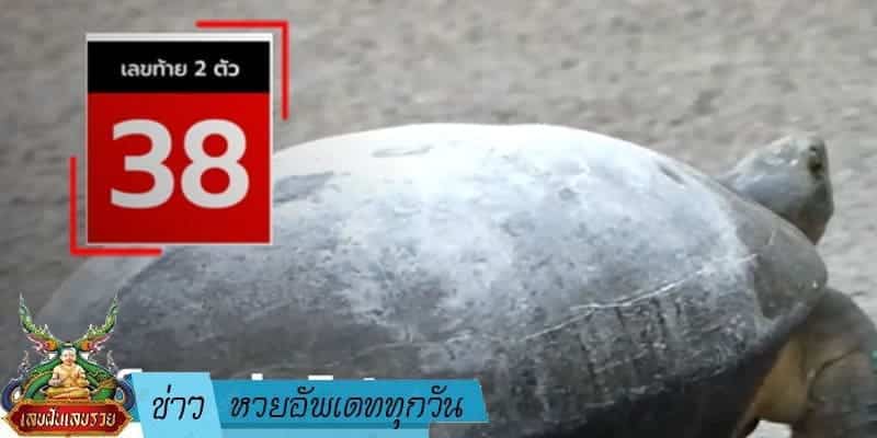 ข่าวหวย อัพเดททุกวัน