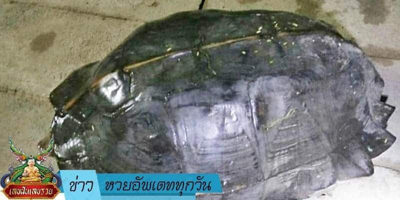 ข่าวหวย อัพเดททุกวัน