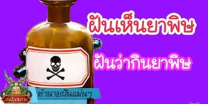 ทำนายฝัน แม่น ๆ