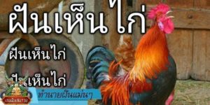 ทำนายฝัน แม่น ๆ