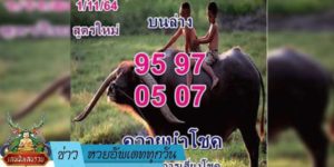 ข่าวหวย อัพเดททุกวัน