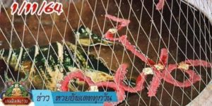 ข่าวหวย อัพเดททุกวัน