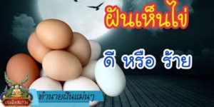 ทำนายฝัน แม่น ๆ