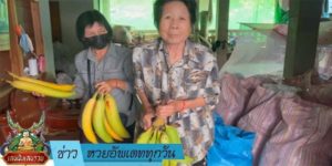 ข่าวหวย อัพเดททุกวัน