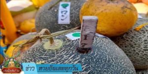 ข่าวหวย อัพเดททุกวัน