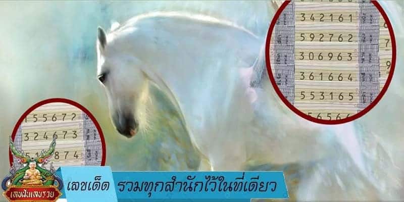 เลขเด็ด รวมทุกสำนักไว้ในที่เดียว