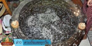 ข่าวหวย อัพเดททุกวัน