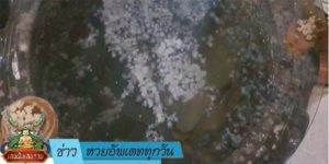 ข่าวหวย อัพเดททุกวัน