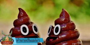 ทำนายฝัน แม่น ๆ