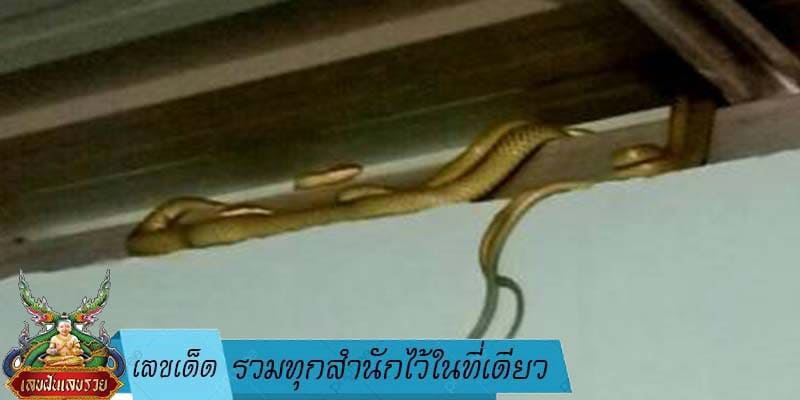 เลขเด็ด รวมทุกสำนักไว้ในที่เดียว