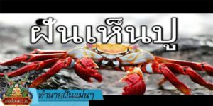 ทำนายฝันแม่นๆ