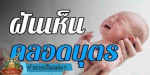 ทำนายฝัน แม่นๆ