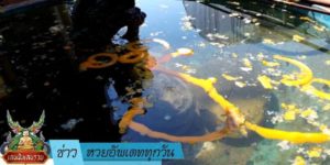 ข่าวหวย อัพเดททุกวัน