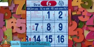 เลขเด็ด รวมทุกสำนักไว้ในที่เดียว