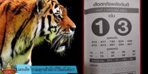 เลขเด็ด รวมทุกสำนักไว้ในที่เดียว