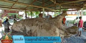 เลขเด็ด รวมทุกสำนักไว้ในที่เดียว